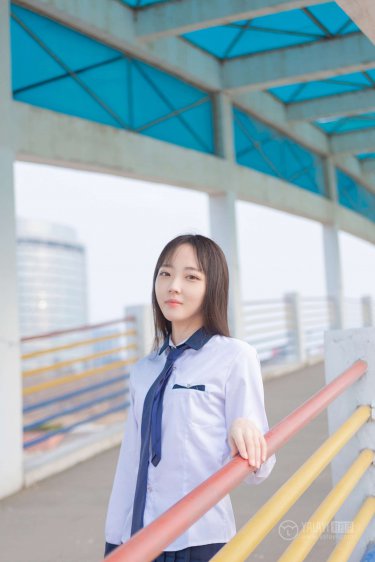 印度四男子巨蜥视频